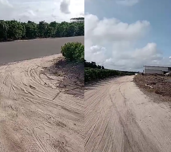Dezenas de sacas de café são furtadas de sítio em Sooretama
