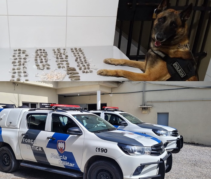 Beco 12: Centenas de buchas e pedras de droga apreendidas pela Força Tática em Linhares