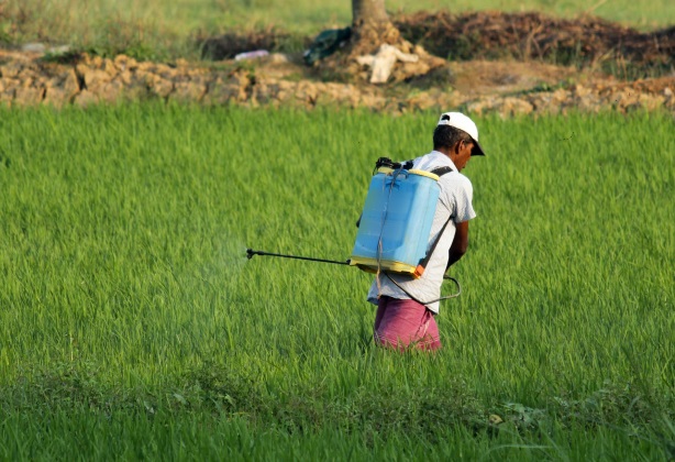 Adolescente vai receber R$ 8 mil de indenização após problemas de saúde causados por defensivos agrícolas