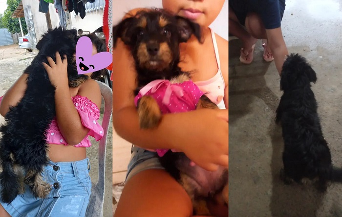 Recompensa: Mileidy foge no Planalto, e menina de 8 anos nem quer mais se alimentar