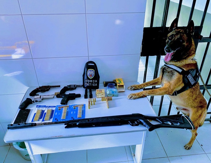 Sooretama: Sobrinho e tio na delegacia, e armas e munições e mais de R$ 14 mil apreendidos
