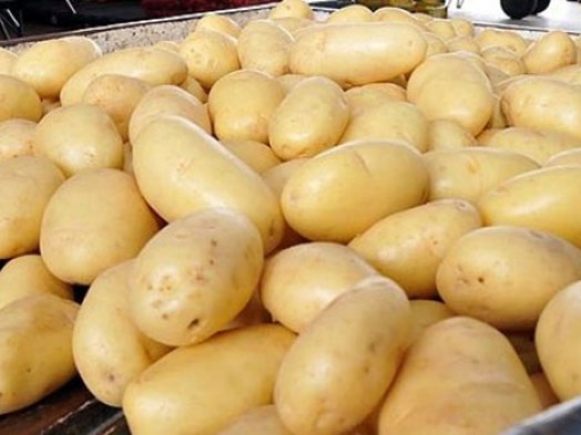 Quilo da batata inglesa sobe 28% e chega a R$ 9 nos supermercados de Linhares