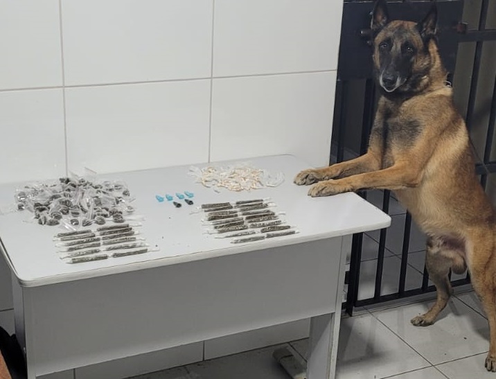Nill fareja e muita droga fracionada é encontrada no Araçá