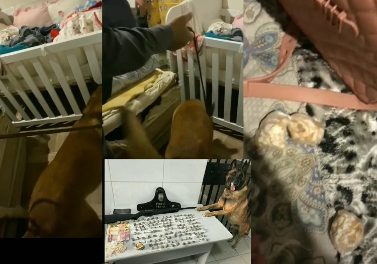 Mulher é detida em Bebedouro. Nill encontrou droga até sob berço