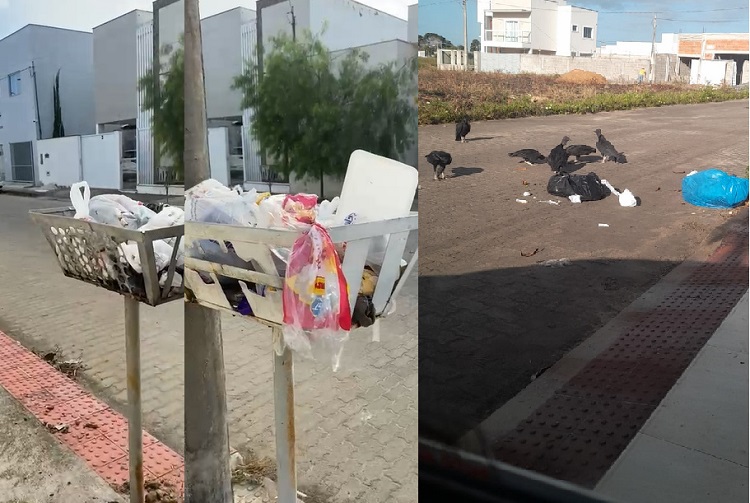 Gaivotas: Lixo não é recolhido há dias na avenida, reclama morador. Prefeitura respondeu
