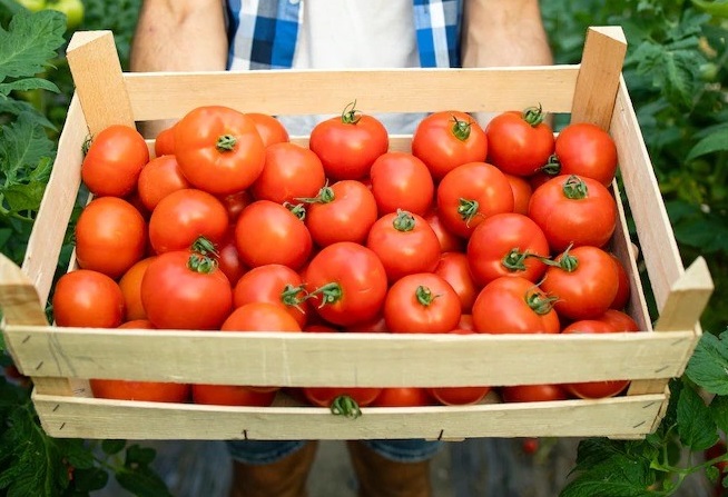 Uau! Tomate e cebola estão mais baratos nos supermercados de Linhares