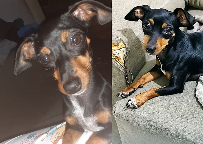 Luna foge no Aviso: “Meus filhos estão desolados. Me ajudem”, pede leitora