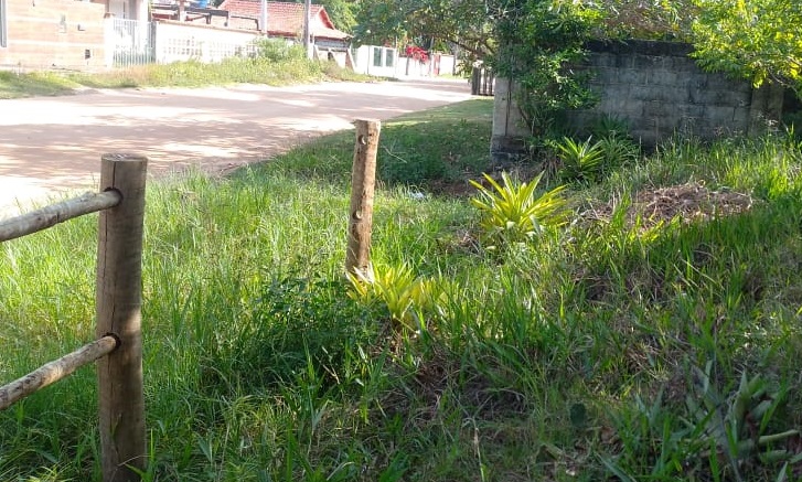 Ladrões furtam e destroem cerca de área de preservação no Pontal do Ipiranga