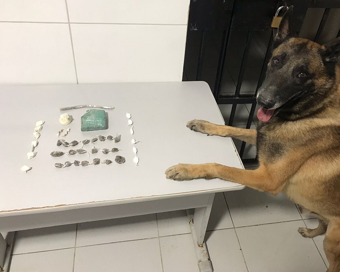 Nill encontra “um monte” de drogas em local de intenso tráfico em Linhares