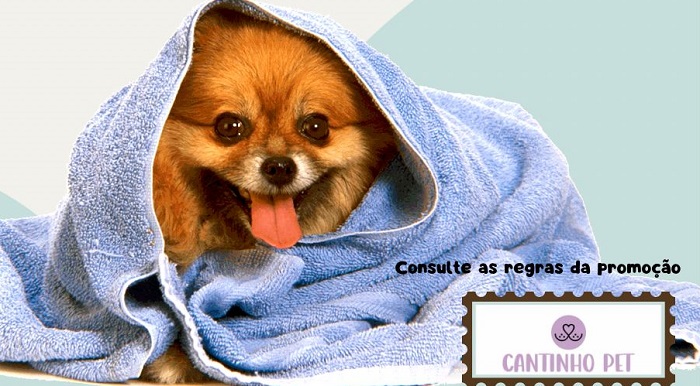 Sooretama: Tem “arraiá” com promoção no Cantinho Pet. Leve seu amigo