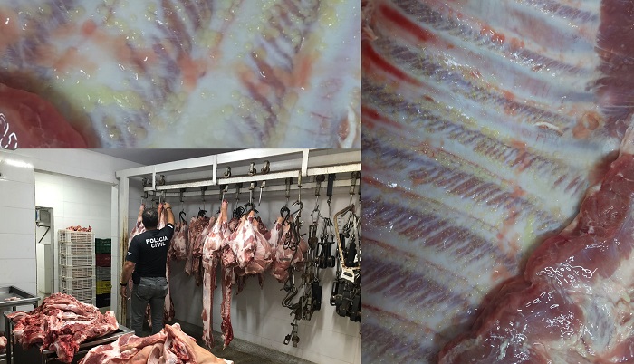 Colônias bacterianas são encontradas em carne clandestina apreendida em Vila Velha