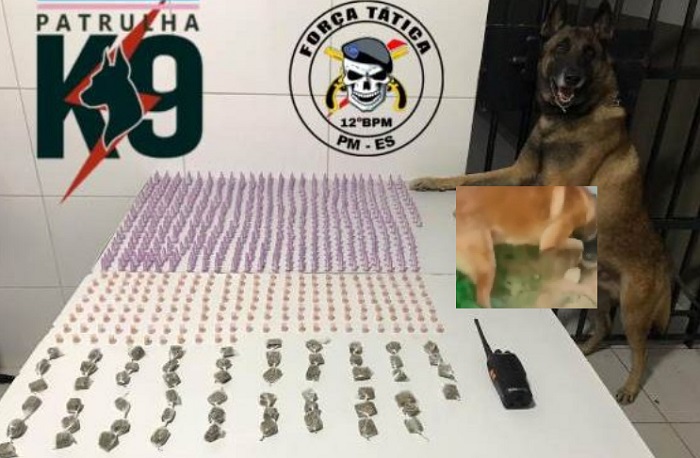 “Novato” escapa da PM após receber muita droga de motorista de aplicativo em Linhares