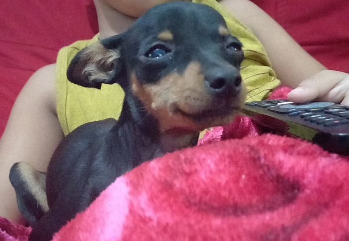 Olha quem está em casa! É a lindinha da Lupita mesmo