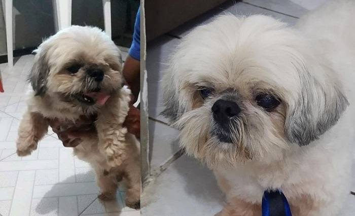 Recompensa: Marley foge no Interlagos, e crianças caem no choro. Ele é idoso, e não enxerga e nem ouve direito