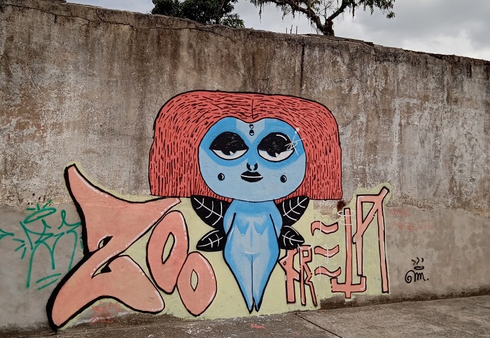 Arte no muro chama a atenção no Centro de Linhares