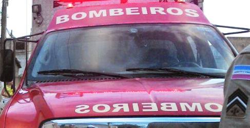 Gambá e cobra ‘quebram’ calmaria do dia no Corpo de Bombeiros
