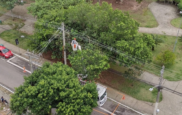 EDP reforça cuidados no plantio de árvores durante a primavera