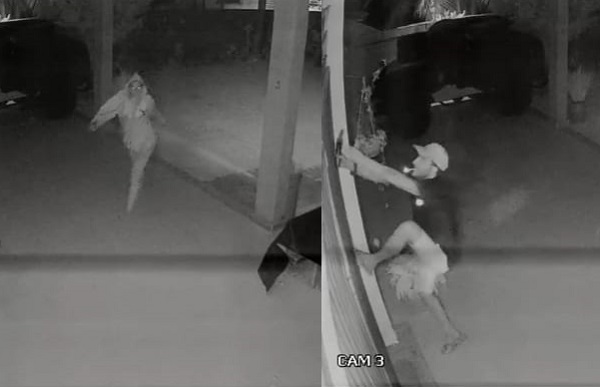 Casal é detido por furto no Pontal do Ipiranga, e liberado após procedimentos na 16ª Regional