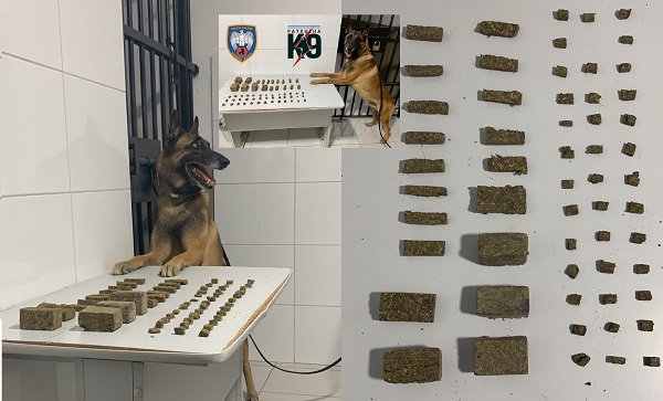 Porto do Bote: Muita maconha apreendida e fuga desesperada no Interlagos
