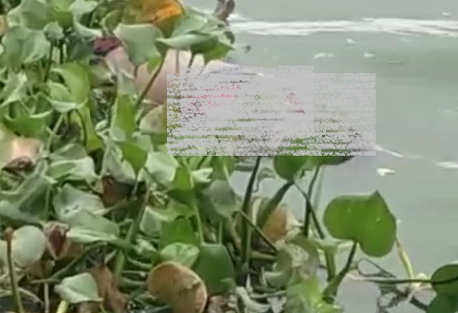 Corpo é encontrado boiando em lagoa na sede de Linhares