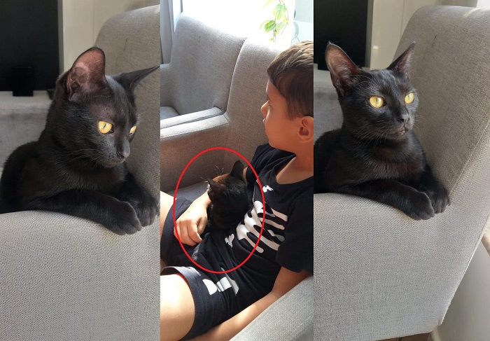 Lila foge no Lagoa do Meio. Tem recompensa para quem encontrá-la. 3 crianças, sendo 2 autistas, precisam muito dela