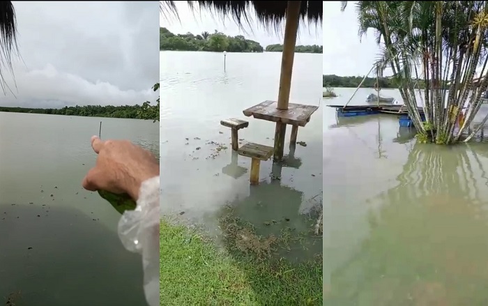 Nem em 2013 vi isso, diz homem ao mostrar lagoa paradisíaca, na divisa de Linhares e Aracruz