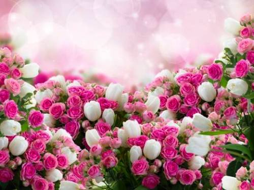 Muitas rosas e três dias diferentes para as mulheres do bairro Canivete