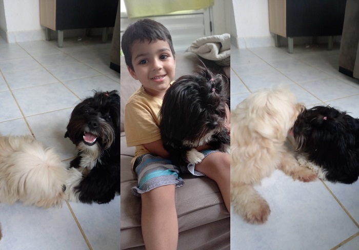 Encontrada! Alegria no Jocafe 2 com a volta da Boo