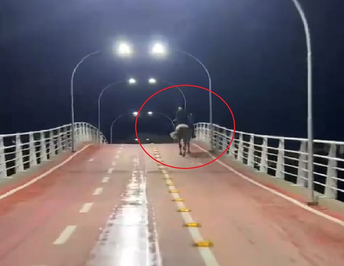Cenas da cidade: Cavaleiro solitário na nova passarela de Linhares