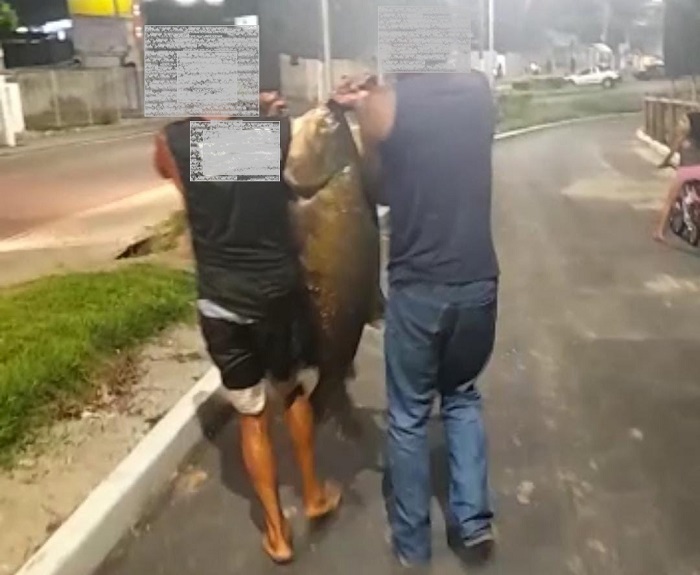 Cenas da cidade: Homens carregam peixão que teria sido fisgado em lagoa de Linhares