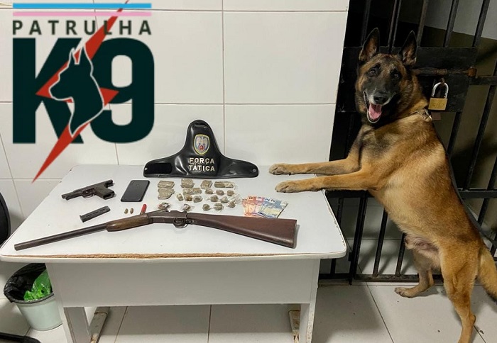 Jocafe 2: Nill fareja, e armas e drogas são apreendidas pela K9