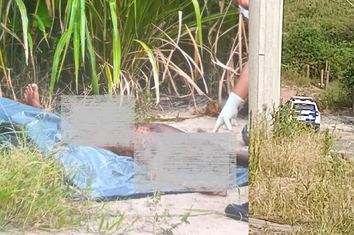 Corpo nu e com marcas de violência é encontrado em canavial de Linhares