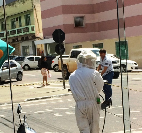Abelhas ‘invadem’ o Centro de Linhares e causam correria