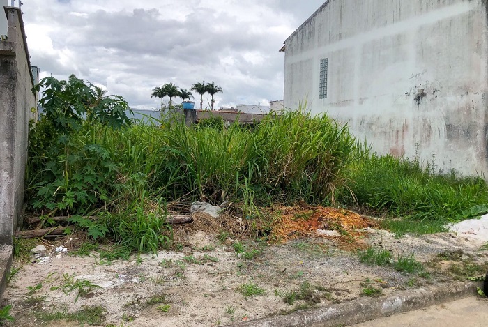 Sujeira: Mais de 350 lotes notificados por falta de limpeza na área urbana de Linhares