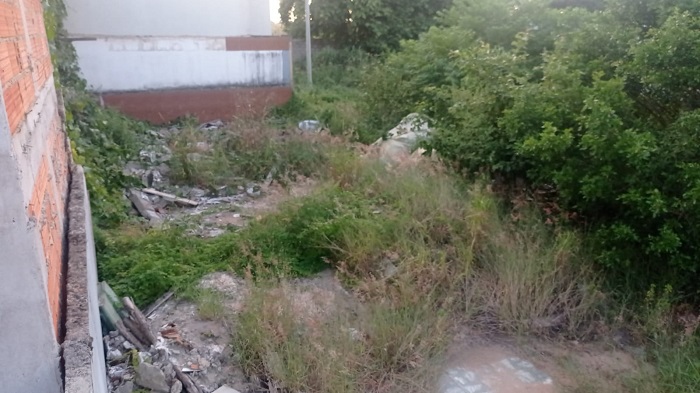 Alguém limpe isso, pede moradora do Centro de Linhares ao mostrar condições de lote