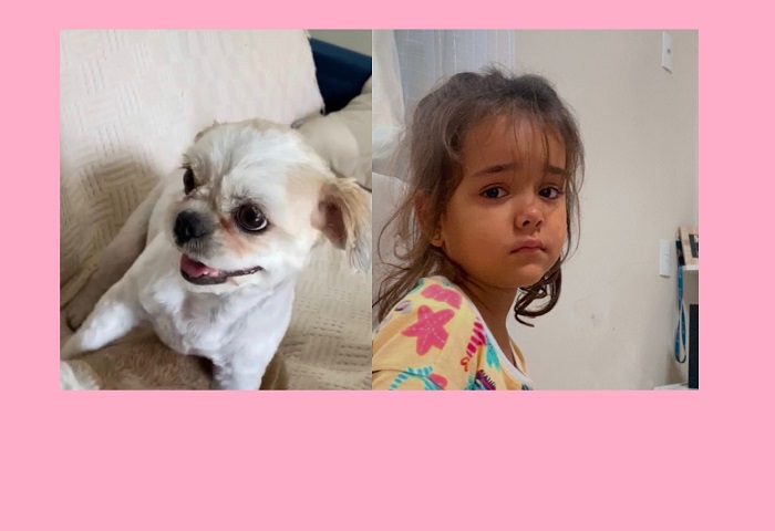 Amora foge no BNH, família recompensa para quem encontrá-la. Tristeza de garotinha impressiona