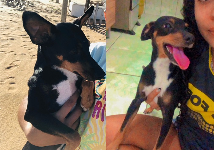 Faisca querida! Sim, ela já está e casa