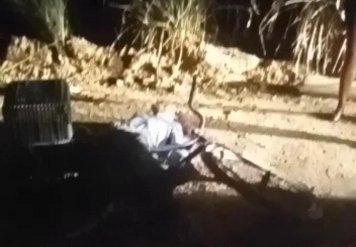 Mais violência: Homem é morto a tiros no interior de Linhares