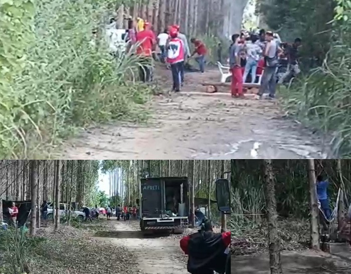 MST invade fazenda da Suzano em Aracruz. Ação repercute