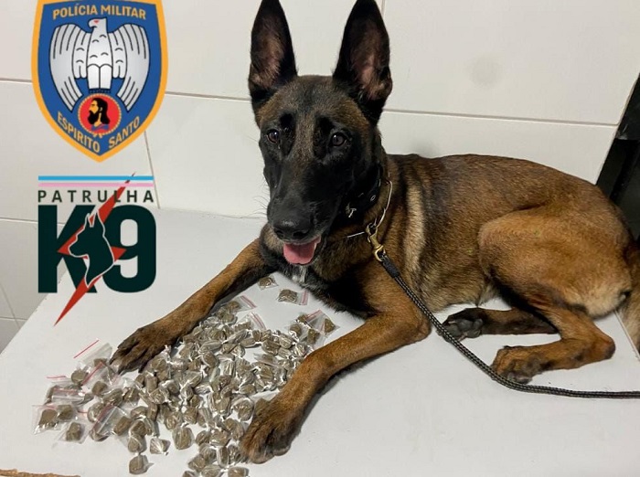 Meninas denunciadas: G.A. e K9 acabam com a “festa” do tráfico, de novo, no Nova Esperança