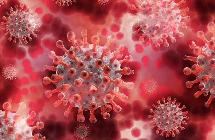OMS: Decretado fim da pandemia de Covid-19 no mundo 