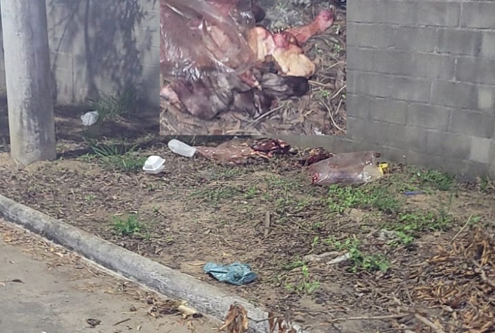 Restos de animais jogados perto de praça e casas revolta morador do Planalto