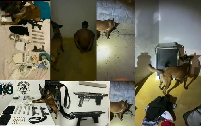 Droga na parede, na sapateira e em outros pontos. Pantera encontrou tudo