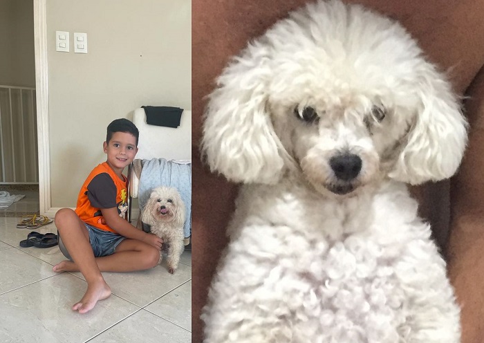 Pucca foge no Interlagos. Ela é idosa, está com c}câncer, e avó e neto estão o retrato da tristeza