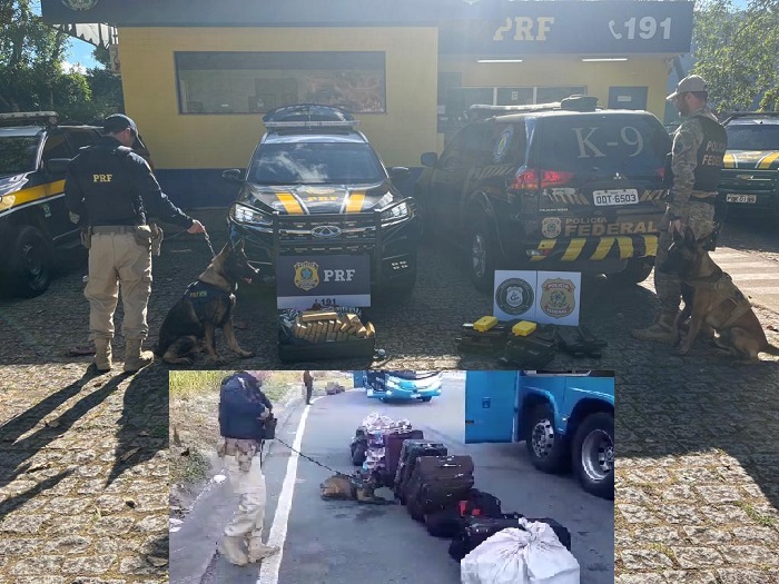 Prisão e muita droga apreendida em 2 ônibus em Guarapari. “Trem Bala” ficou no prejú