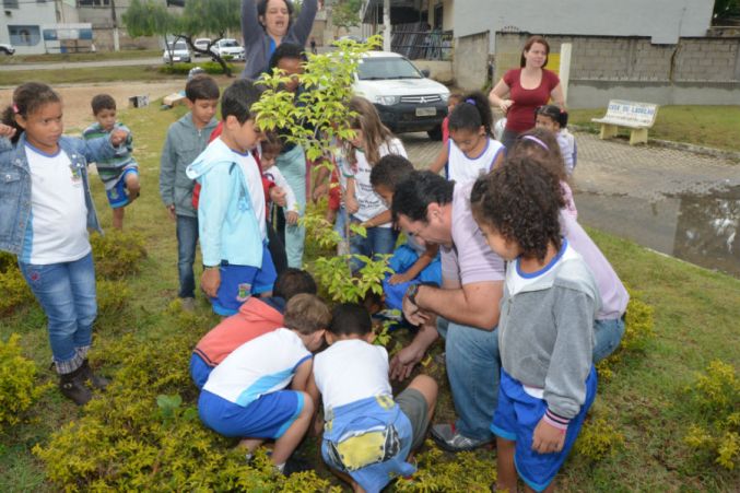 Praça 22 de Agosto e Linha Verde recebem mudas de Jequitibá-rosa