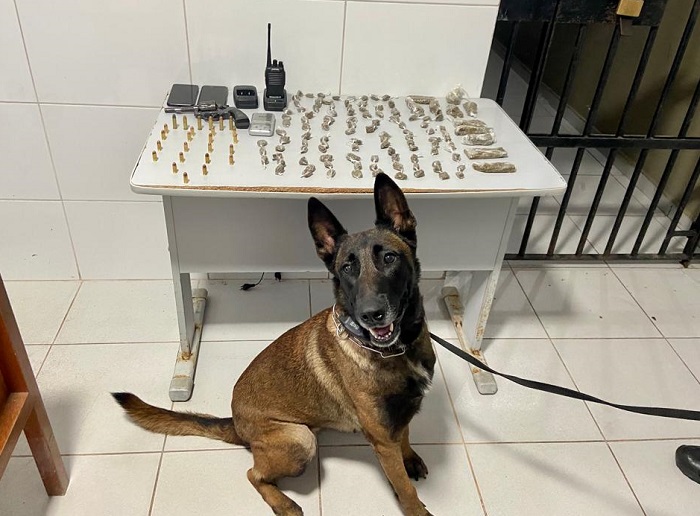 Droga até na máquina de lavar, e homem se infiltra entre populares para tentar enganar G.A e K 9 em Linhares