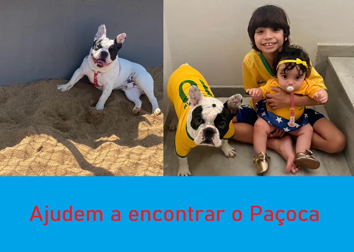 Recompensa: Paçoca foge no Colina. 2 crianças pedem ajuda aos leitores
