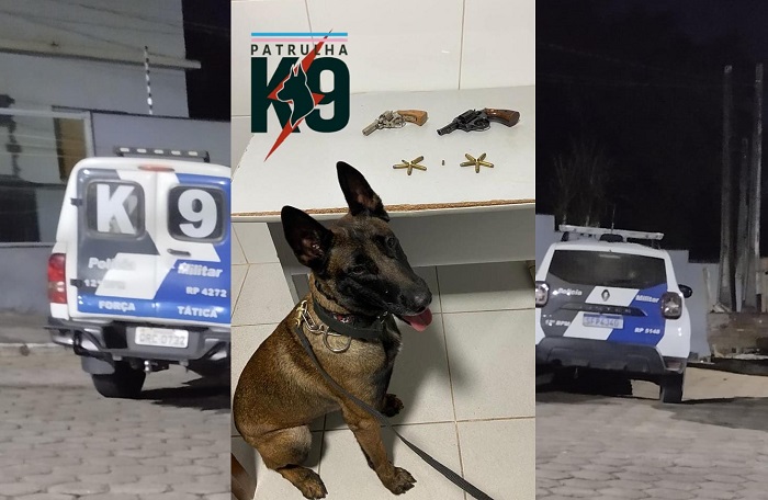 Armas apreendidas e mandado cumprido no Juparanã, e é 157