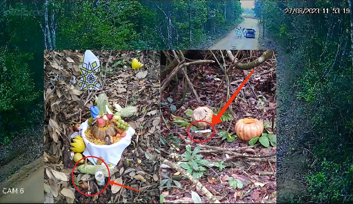 Velas acesas em mata preocupam moradores do Gravatá, Linhares